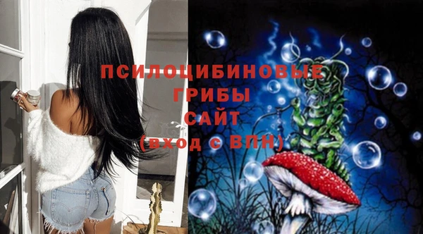 apvp Магадан